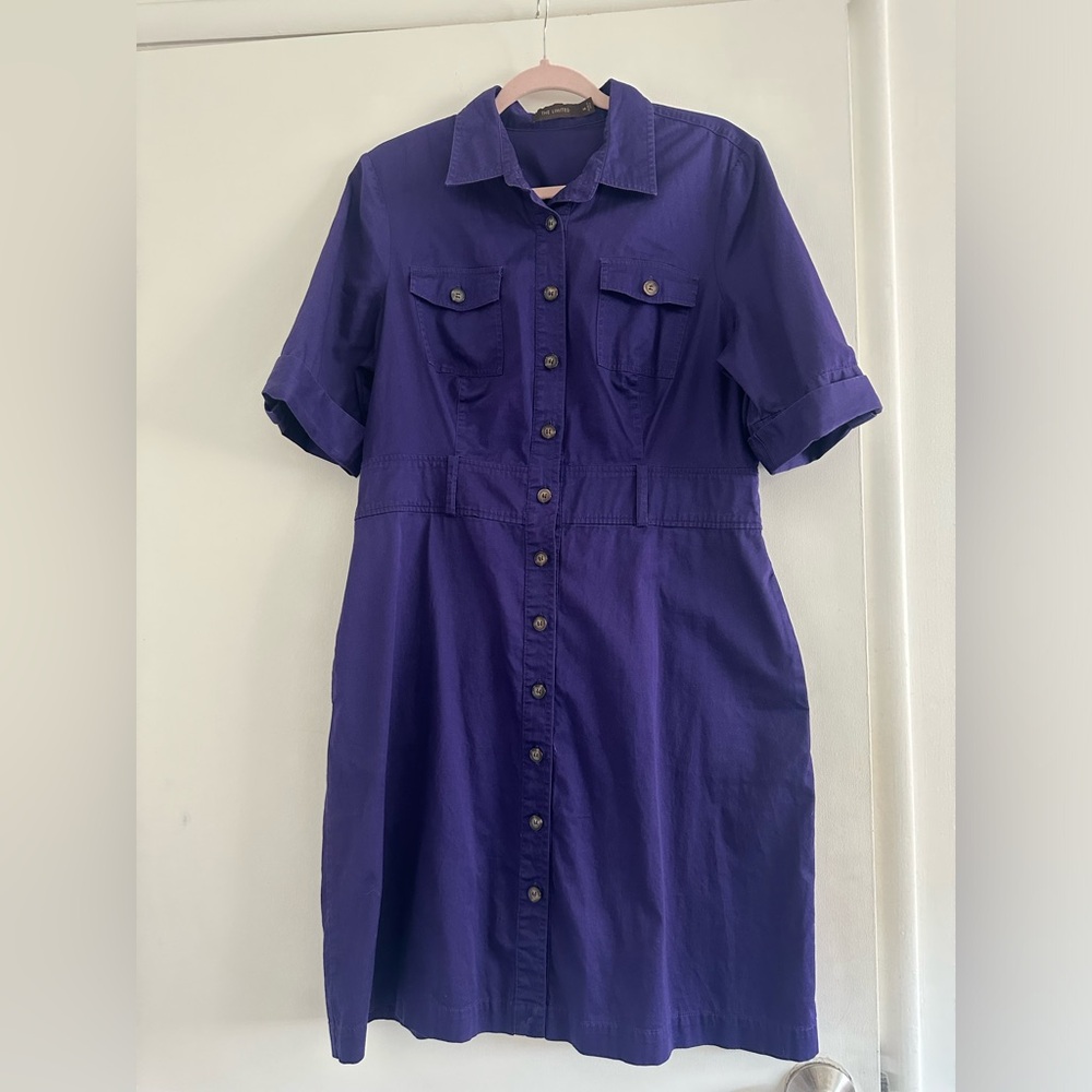 The Limited button up dress